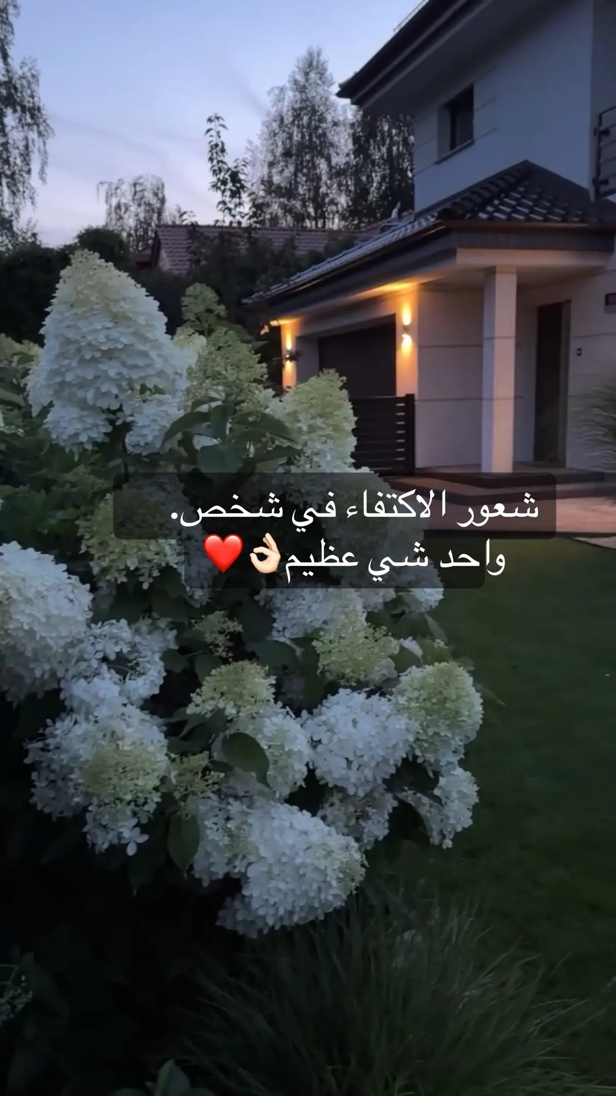 #مساكم_سعادة_لاتنتهي🌹 