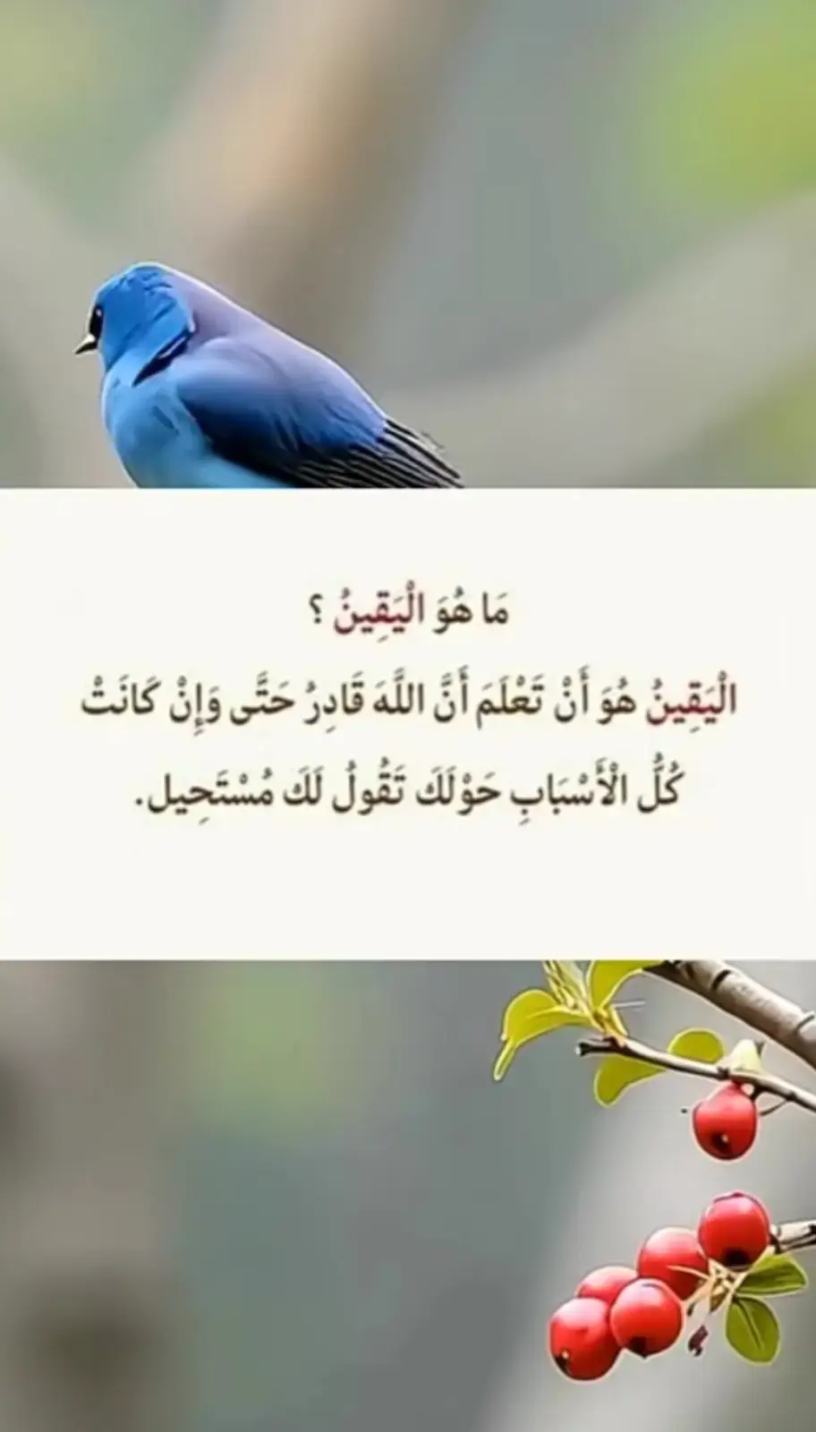 #fyp #اللهم_صلي_على_نبينا_محمد #الحمدلله_دائماً_وابداً #استغفرالله_العظيم_واتوب_اليه #❤️❤️❤️❤️❤️❤️❤️❤️ #يارب #يارب #يارب 