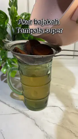 Akar bajakah tampala super  #akarbajakah 