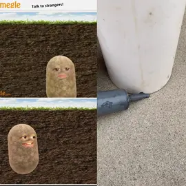 I FOUND A POTATO FRIEND 🤯🥔 #funny #memes #meme #funnymemes #lol #dankmemes #comedy #fun #Love #memesdaily #follow #like #humor #funnyvideos #instagram #tiktok #instagood #lmao #dank #jokes #cute #expl 