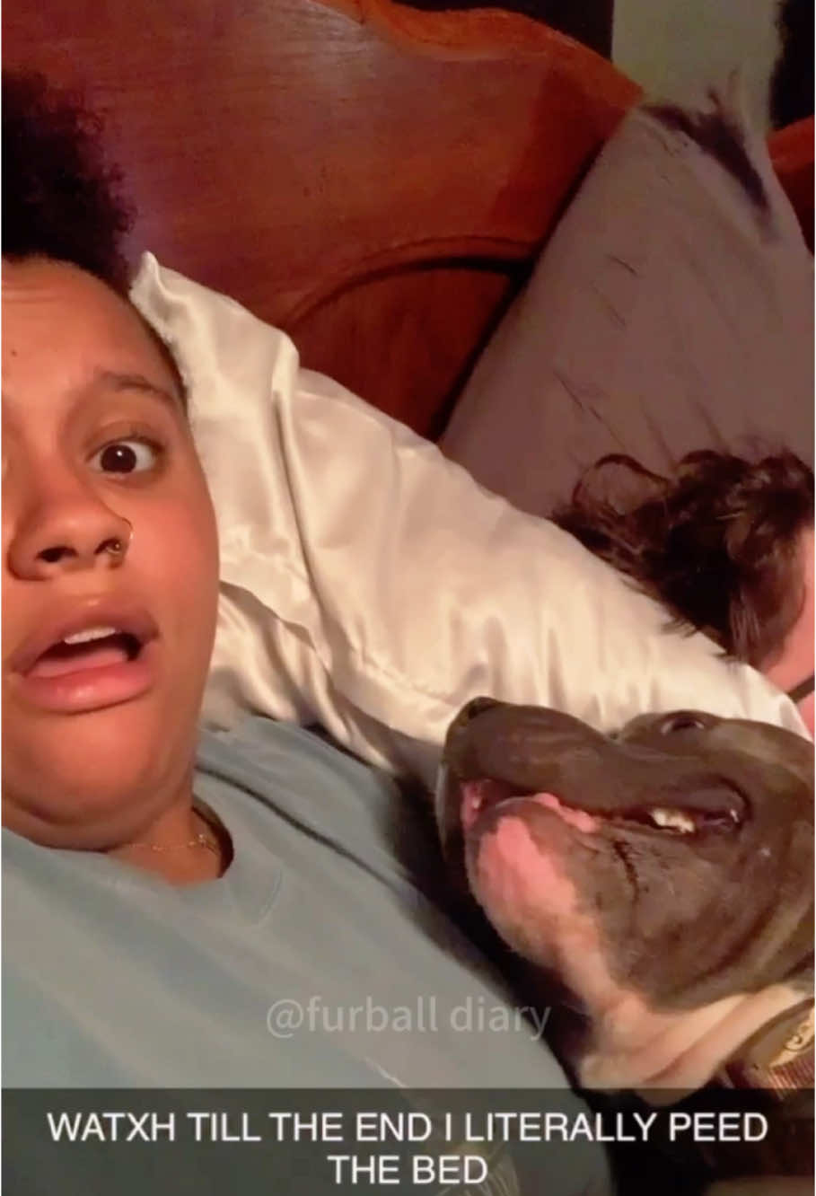 Funny Sneezing Dogs 🤣#dog #pets #dogsoftiktok #funny #funnyanimals #cutedog 