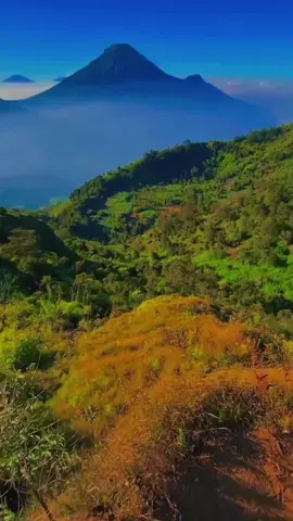 Berkelana smpai bisa menyembuhkan luka #dieng #diengwonosobo #wonosobo #wonosobo24jam #viralvideo #fypdong 