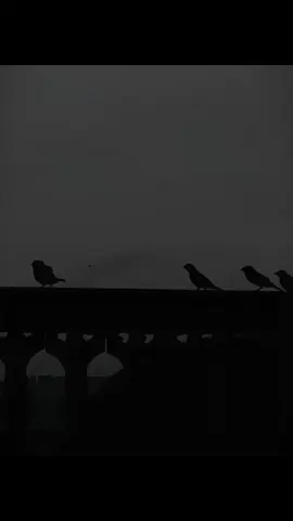 Jaun Elia x Nfak ❤️‍🔥 - Mein b bohut ajeeb hun | Apne Ap Se Baten Krky Hoo Gaye Mein Badnam | Qawali | Nfak | Joun Elia   - donotunderreview #johnelia #jaunelia #nak #nusratfatehalikhan #qawali #status #sad ##fyp #foryou #foryoupage #viral #trending #withoutmusic #vocalsonly #aesthetic #fyp≥ #fypviral #status #broken #lovesongs #bollywood #bollywoodsong #couple #couplegoals #yppppppppppppppppppp #couplesaesthetic