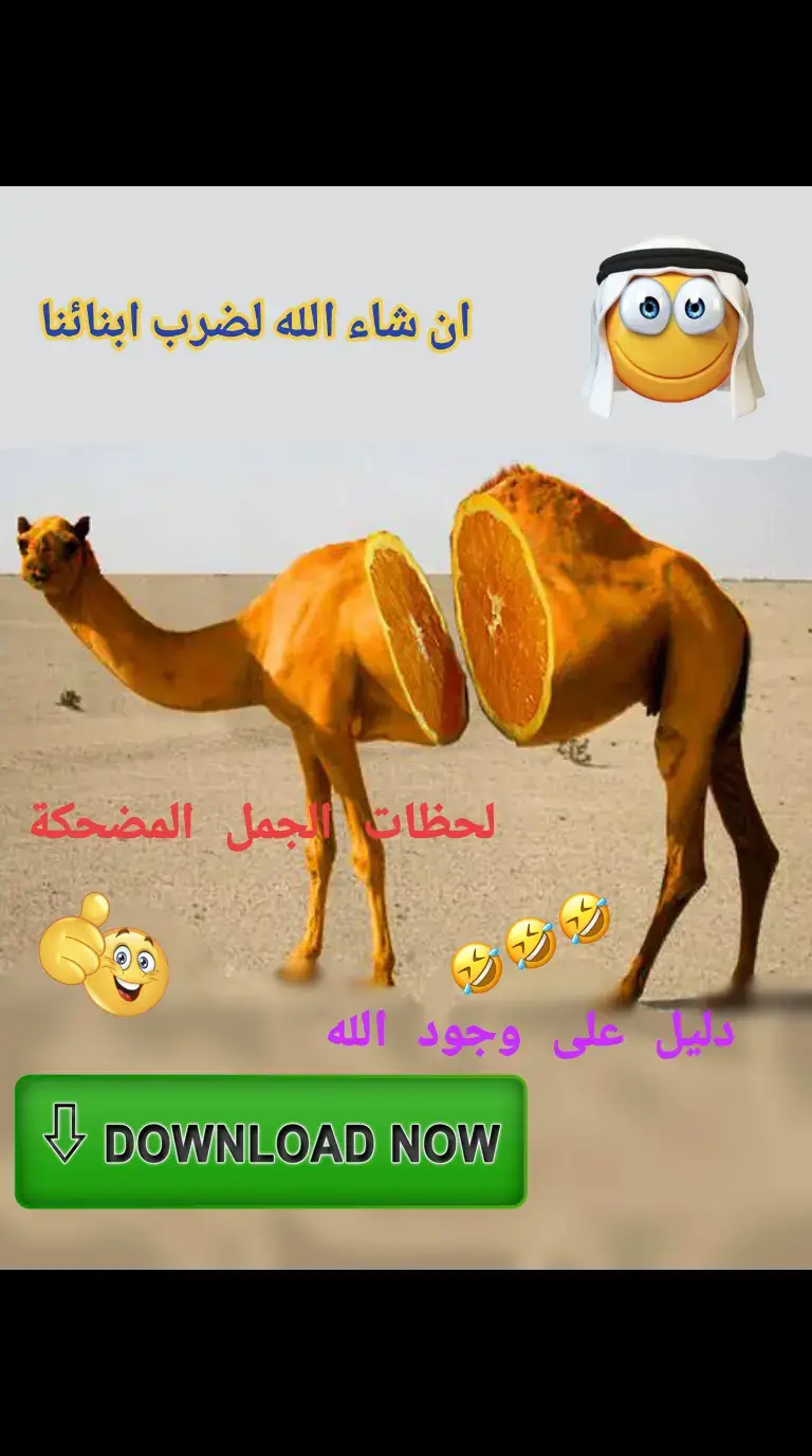 #إن شاء الله arabfunny #meme