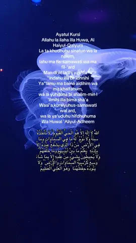 The Prophet Muhammad (ﷺ) said: “Whoever recites Ayatul Kursi after every obligatory prayer, nothing will prevent them from entering Paradise except death.”#creatorsearchinsights #quran #fyp#ayatulkursi #duaforprotection #trendingvideo #muslimtiktok #islamic_video #viral