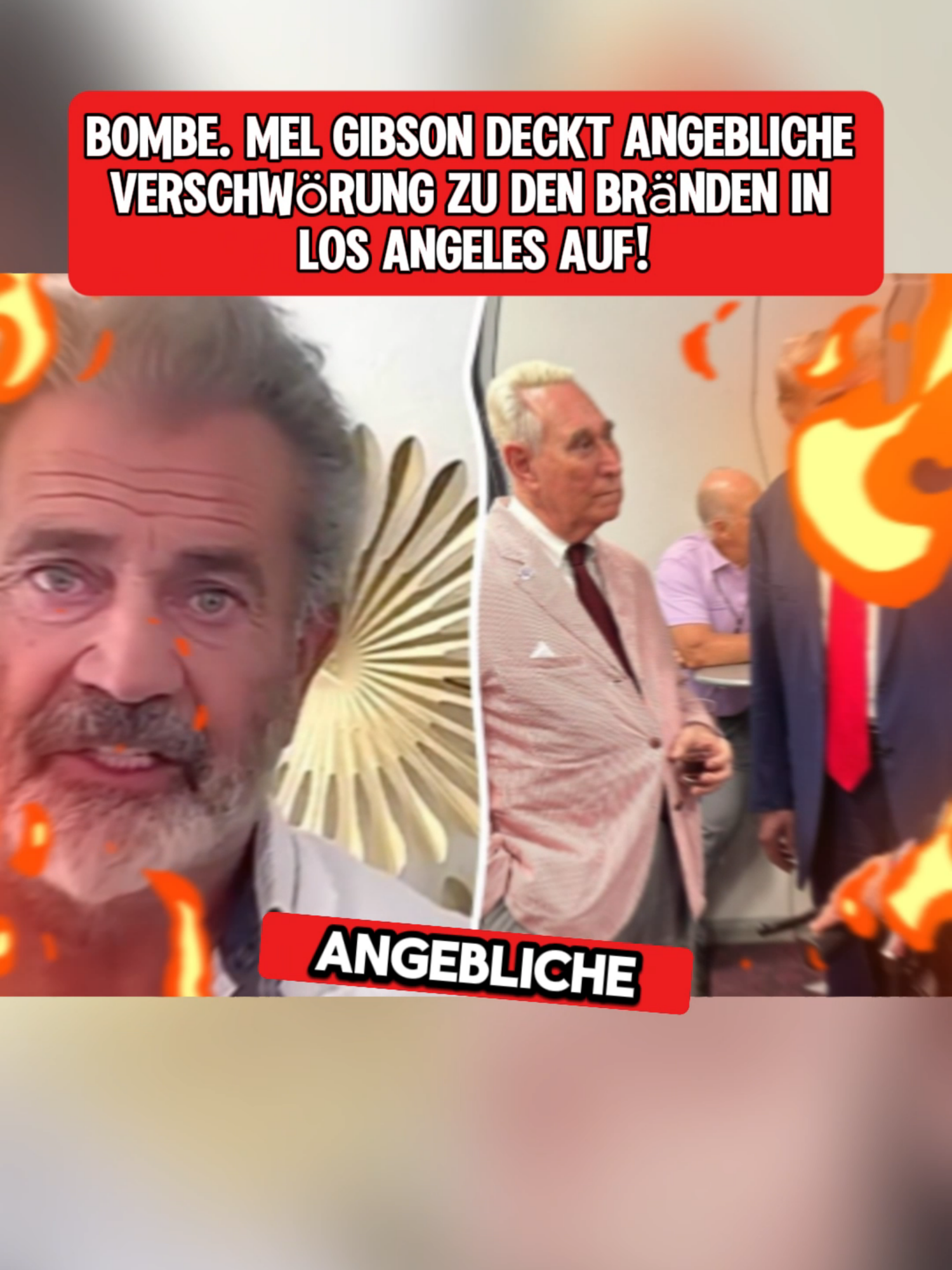 Bombe. Mel Gibson deckt angebliche Verschwörung zu den Bränden in Los Angeles auf! #deutschland #Geschichte #Mysterium #wharegeschichte #Nachricht