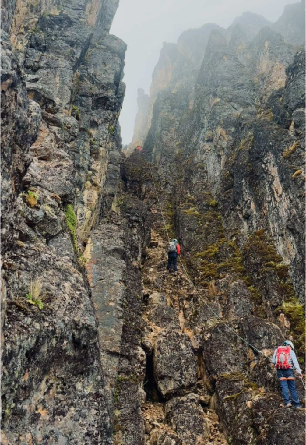 Cerro Corazón ⛰️del Cayambe a 4740msnm #senderismo #trepacerros #montaña #montain #corazoncayambe #fylシ #cayambe_ecuador🇪🇨📸❤ #rapel 🧗‍♀️💪