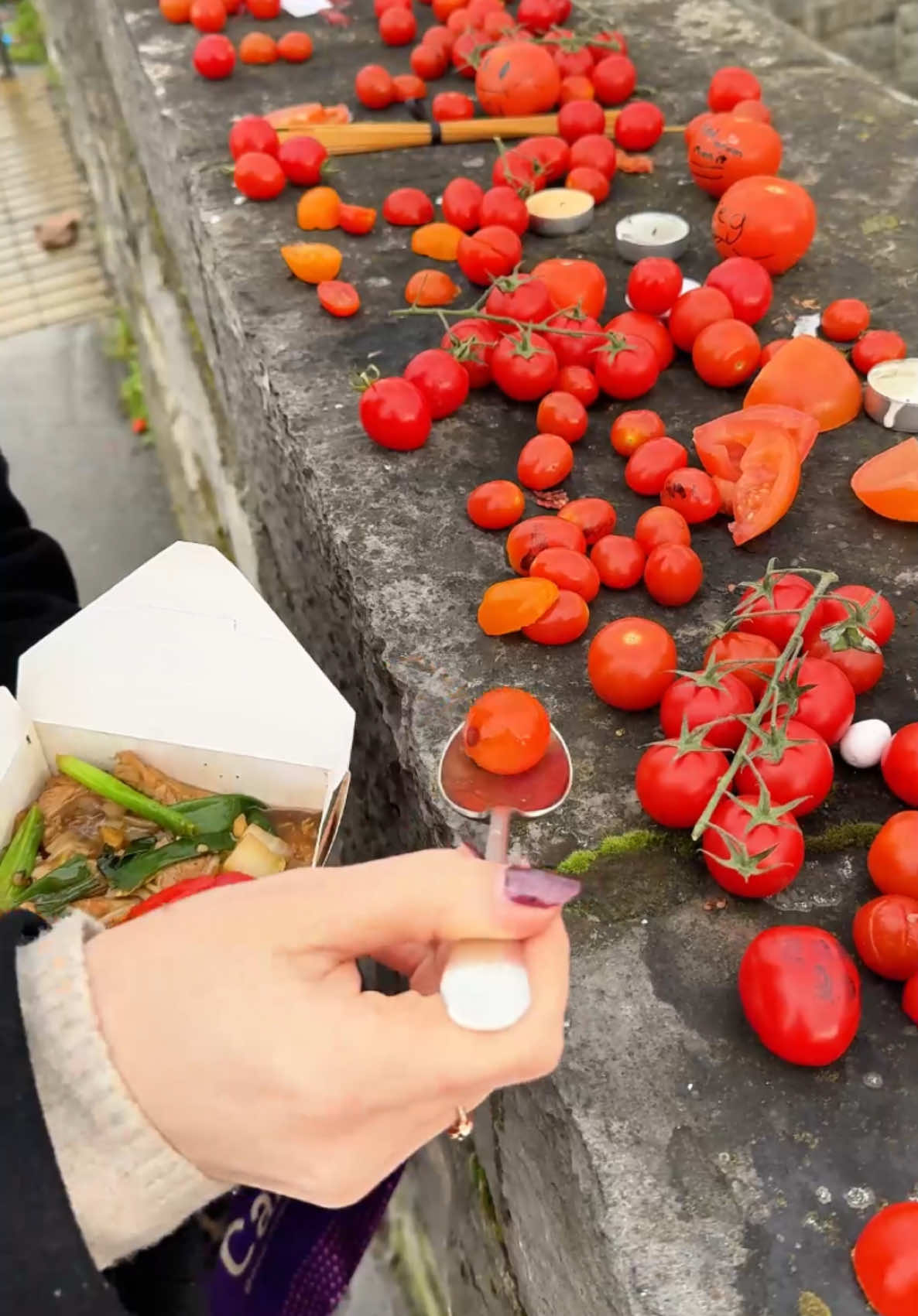 paid our respects 🫡🍅 #cherrytomatobridge #tomatobridge #mekongduck #dublin