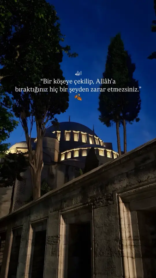 #camii #allah #keşfetteyizzz #islamic_video #duâ #tevekkül 