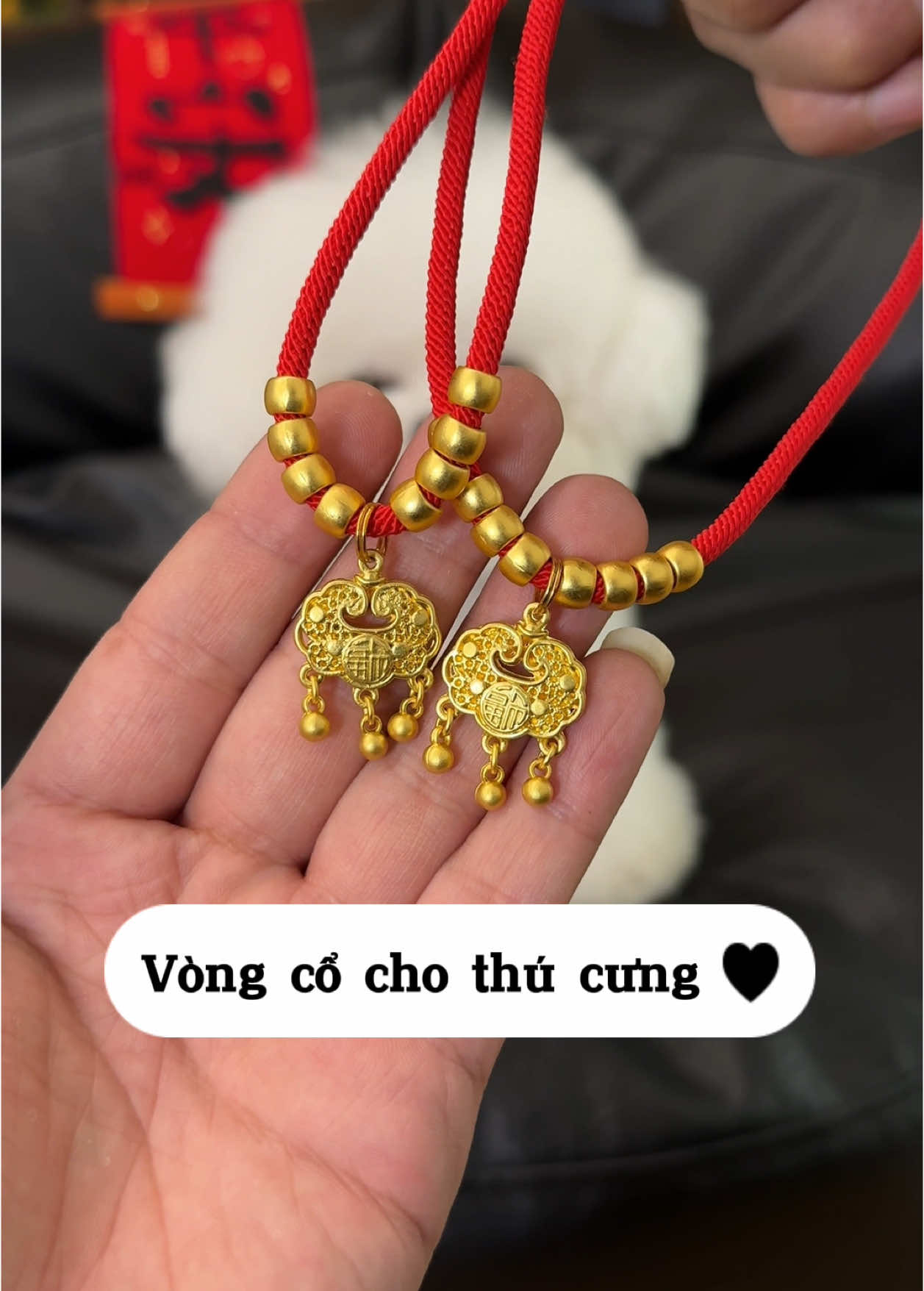 Vòng cổ năm mới may mắn cầu cho bé một năm bình an khoẻ mạnh 🐶 #vongcothucung #vongcochomeo #cunyeu #fyp #dog #cute #thucung #poodle #bunquystoc 