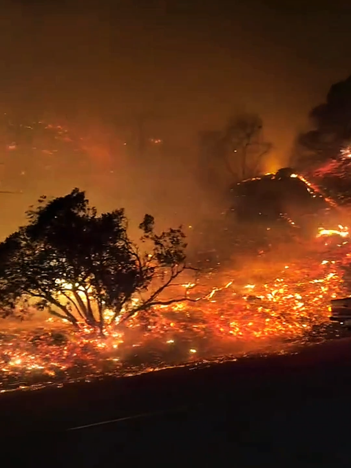 Los Angeles Wildfire California Hollywood Road Scene  #losangeles  #wildfire #newsupdate  #californiawildfire #losangeleswildlife #California #fire #usa🇺🇸 #fyp 