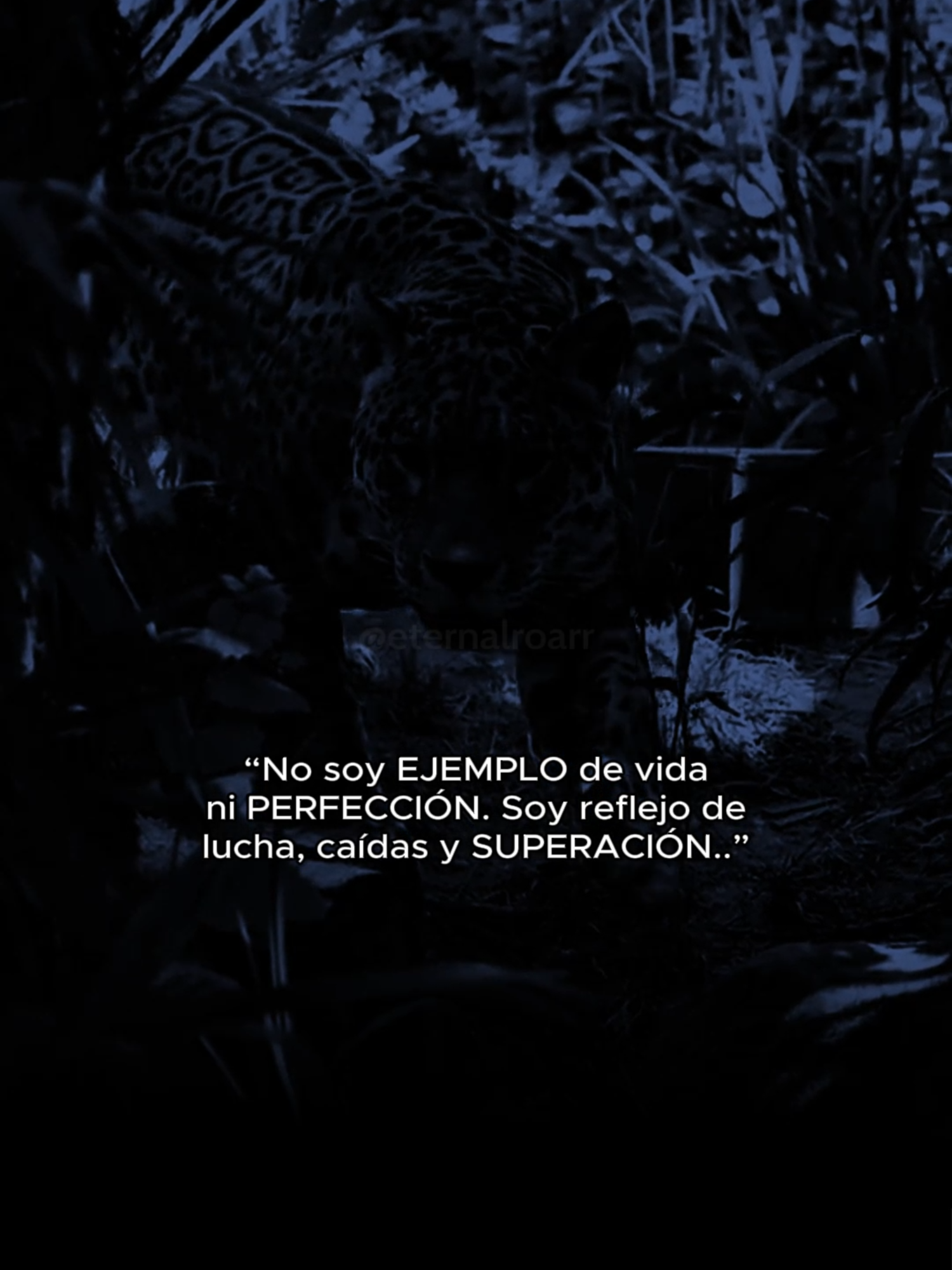 No soy EJEMPLO de vida ni perfección, soy reflejo de lucha, caídas y superación.. #inspiration #Reflexion #mindset #MindsetPositivo #Motivation #mindsetmotivation #RugidoEterno #parati