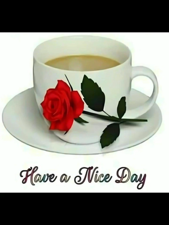 Beautiful Good Morning massages pics   #rosevibesss 