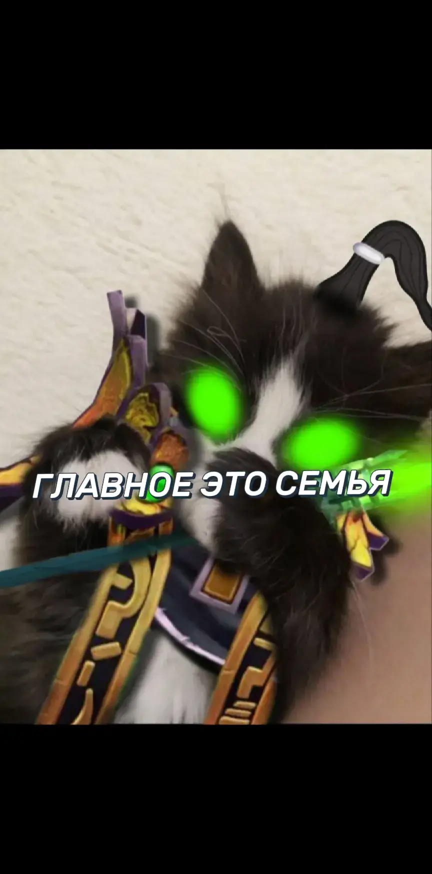 #рекомендации #dota2 #котик 