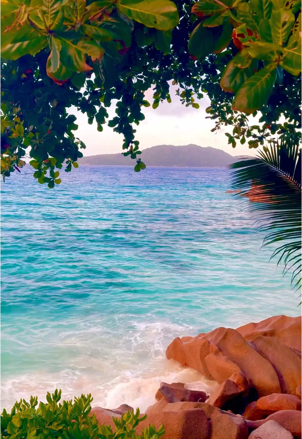 👀🌊✨ #seychelles #seychellestiktok🇸🇨 #ladigue #sunsetbeach #ocean #tropical #glow #islandvibes #traveltiktok #beautifuldestinations #plage #landscape #voyage #view #frypgシ #pourtoi 