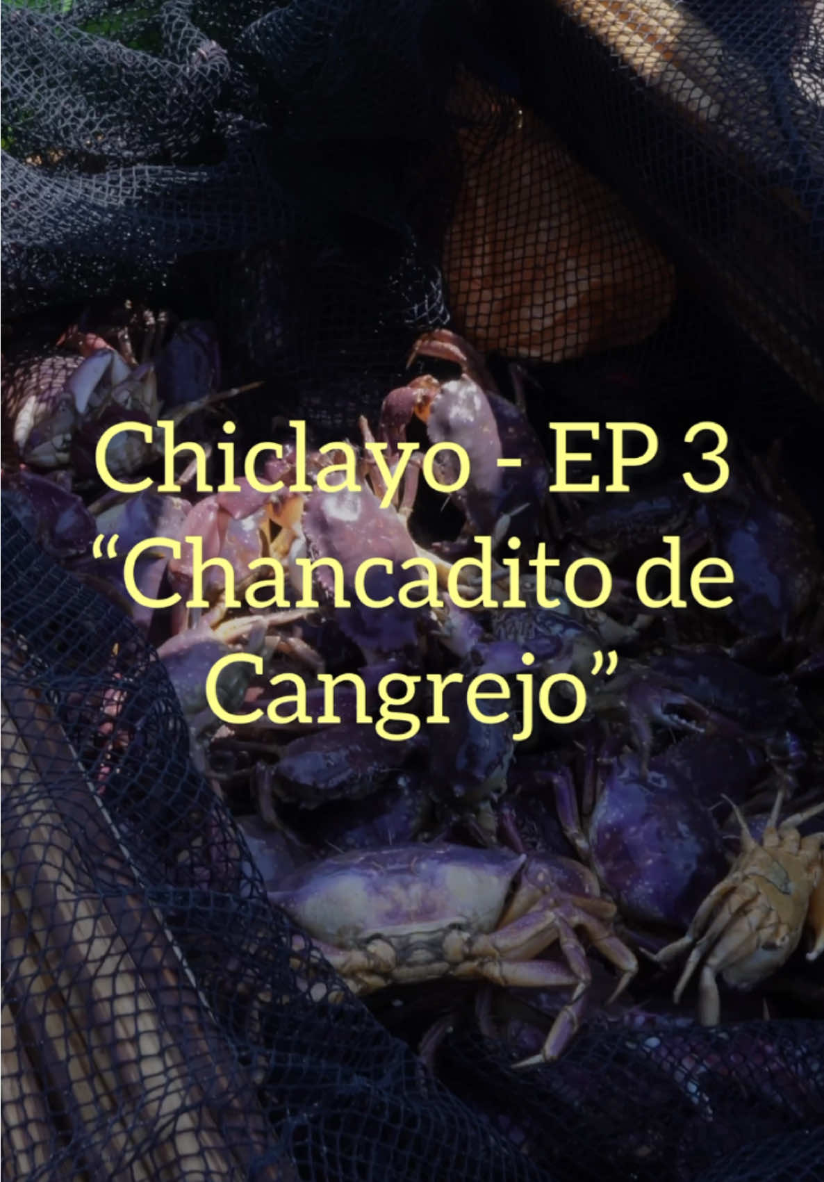 Chiclayo EP 3 “Chancadito de Cangrejo” Si vas a mi Tierra Chiclayo en pleno verano tienes que probar este chancadito de cangrejo con una cerveza bien helada, que viva la ciudad de la amistad. Buenazo ! #chiclayo #buenazo #rodrigofernandini #chancaditodecangrejo #chiclayo #comidaperuana #peruvianfood 