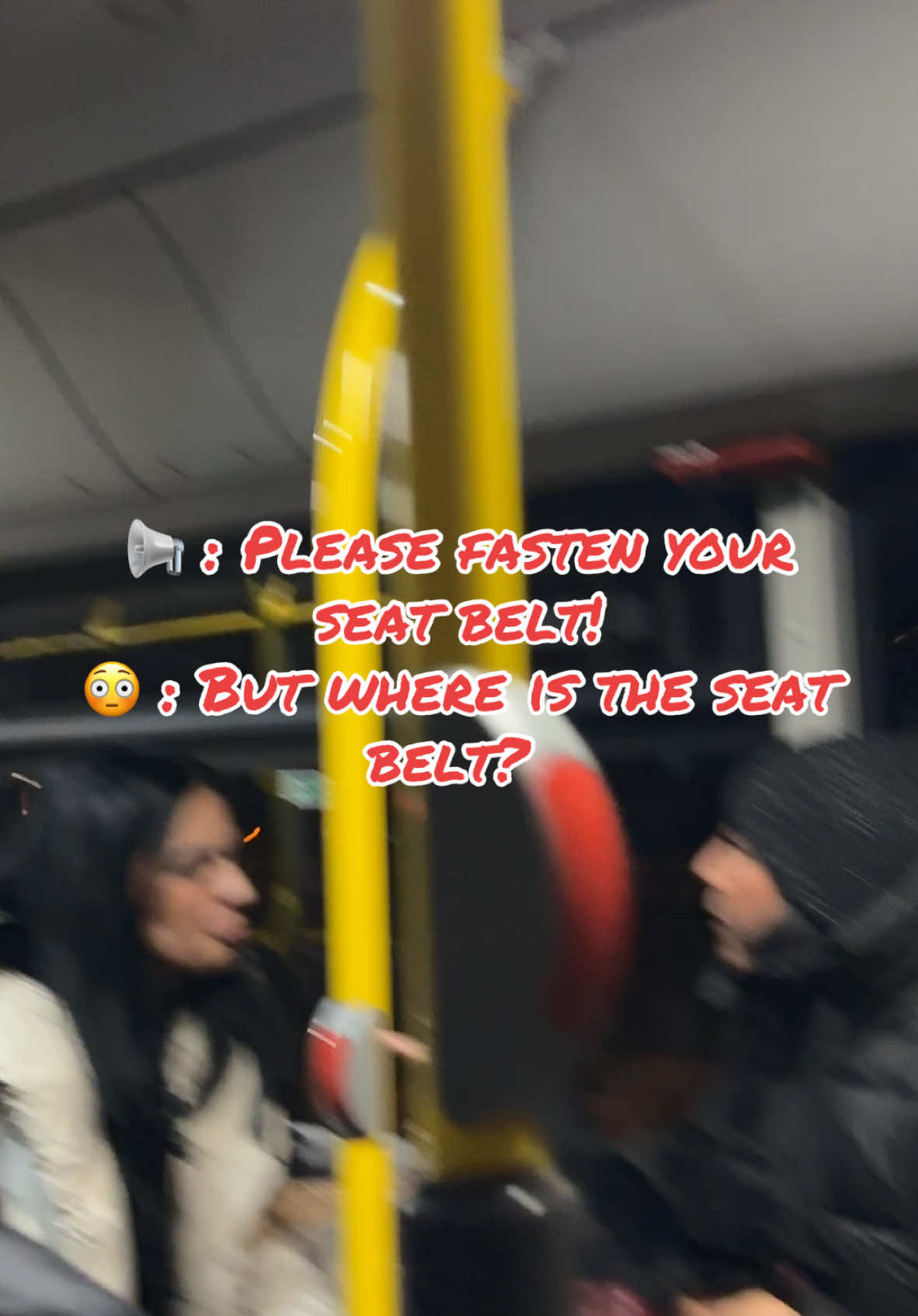 Where is my seat belt? #db #germany #germantiktok #traveltok 