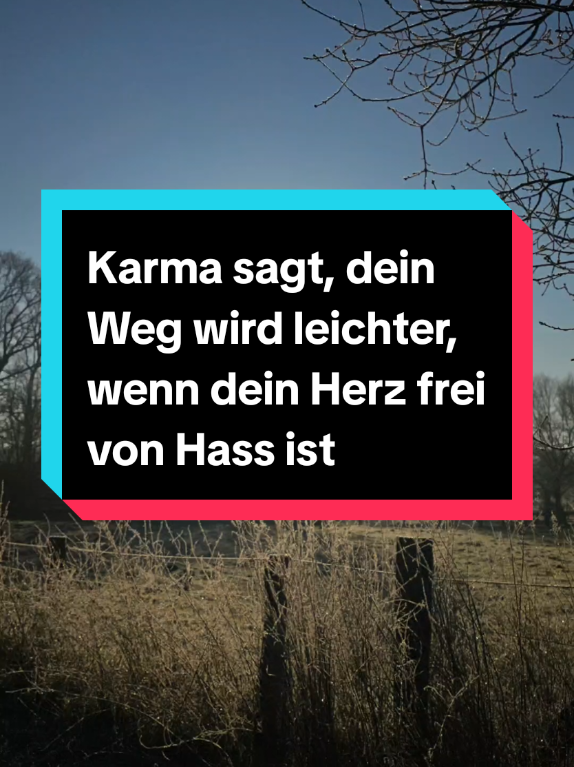 Karma sagt, dein Weg wird leichter, wenn dein Herz frei von Hass ist #zitate #zitatedeutsch #zitatezumnachdenken #karmasagt #SelfCare  #CapCut 