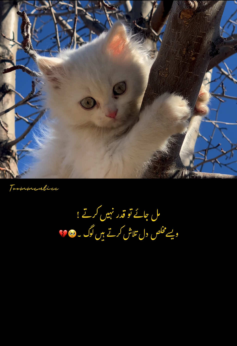 𝐫𝐞𝐩𝐎𝐬𝐭 🫶🏻 - #foryou #foryoupage #fypシ #fypppppppppppppp #sadshyari #urdu #sad #ahsamjaved #urdupoetry 