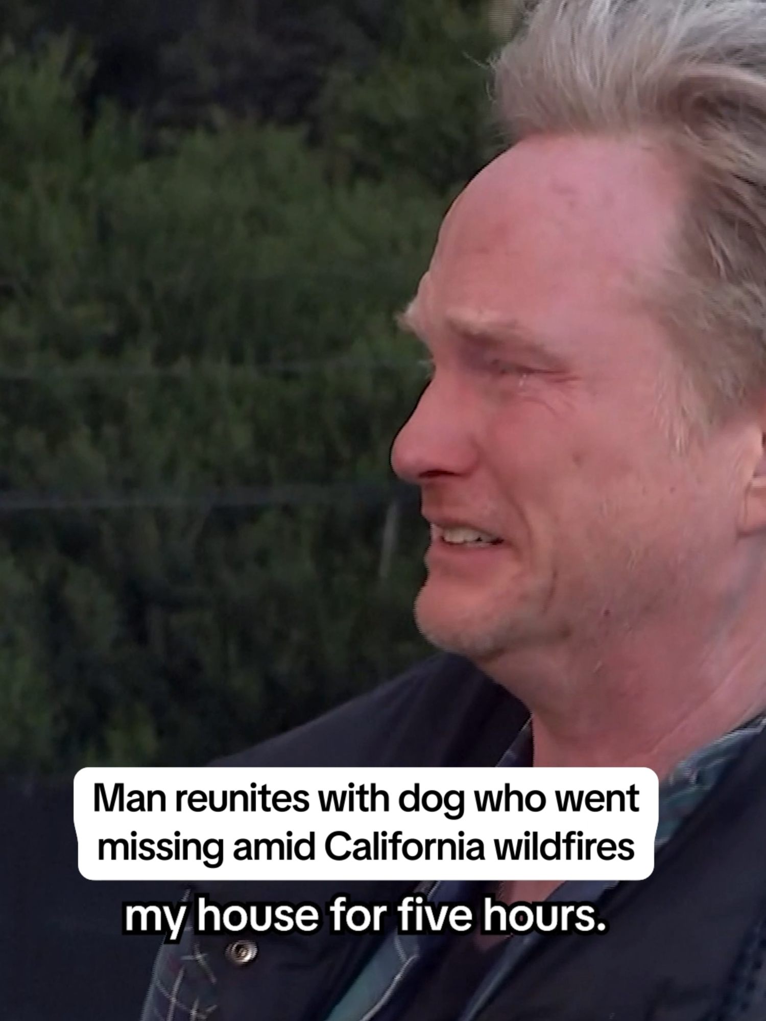 This #California fire victim wasn't home when the evacuation notice went out — but his dogs were. His home burned down in the #PalisadesFire and one of his dogs spent 5 nights surviving in the neighborhood before being reunited with one another.