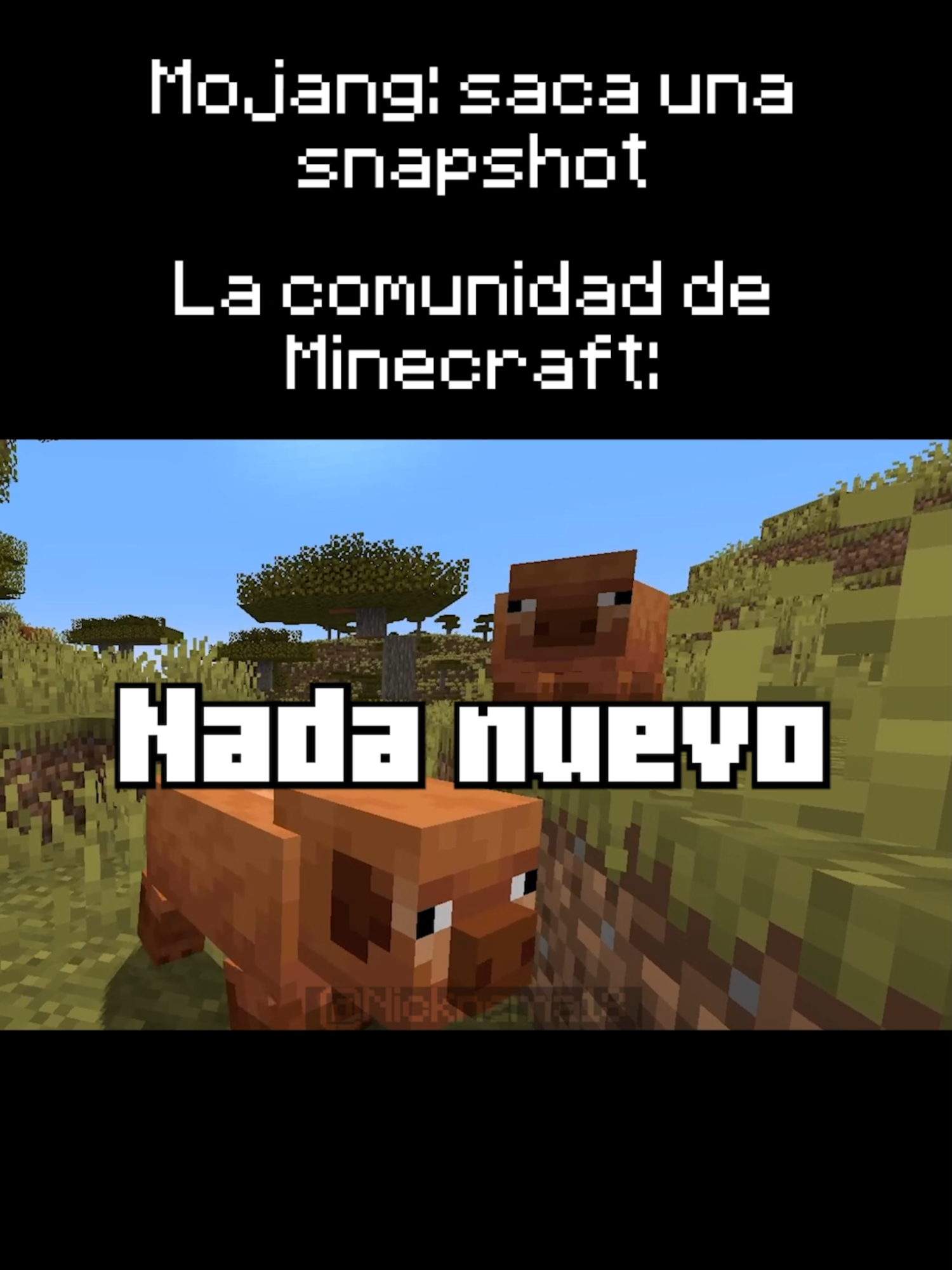 Y YO SIGO ESPERANDO LA END UPDATE 😭 #Minecraft #fyp #snapshot #humor #memestiktok