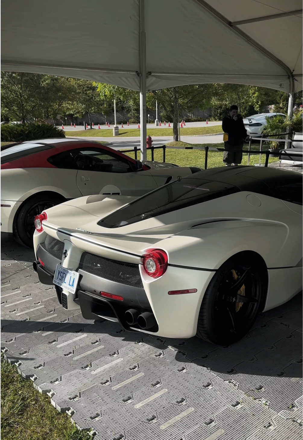 White Ferrari