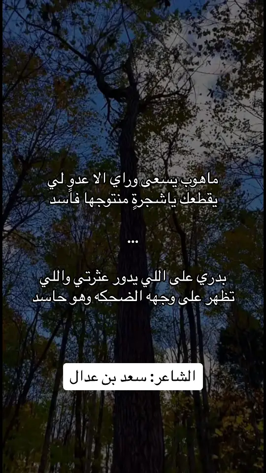 #شعر #قصيده #خواطر #هواجيس #fyp #viral #4u #explore #foryou 