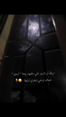 أملك أب لو أسلمه روحي وعافيتي هديه أكون مقصره وكثيييير❤️#يارب_احفظ_ابوي_وطول_بعمره #تصويري📷 #اكسبلورexplore 