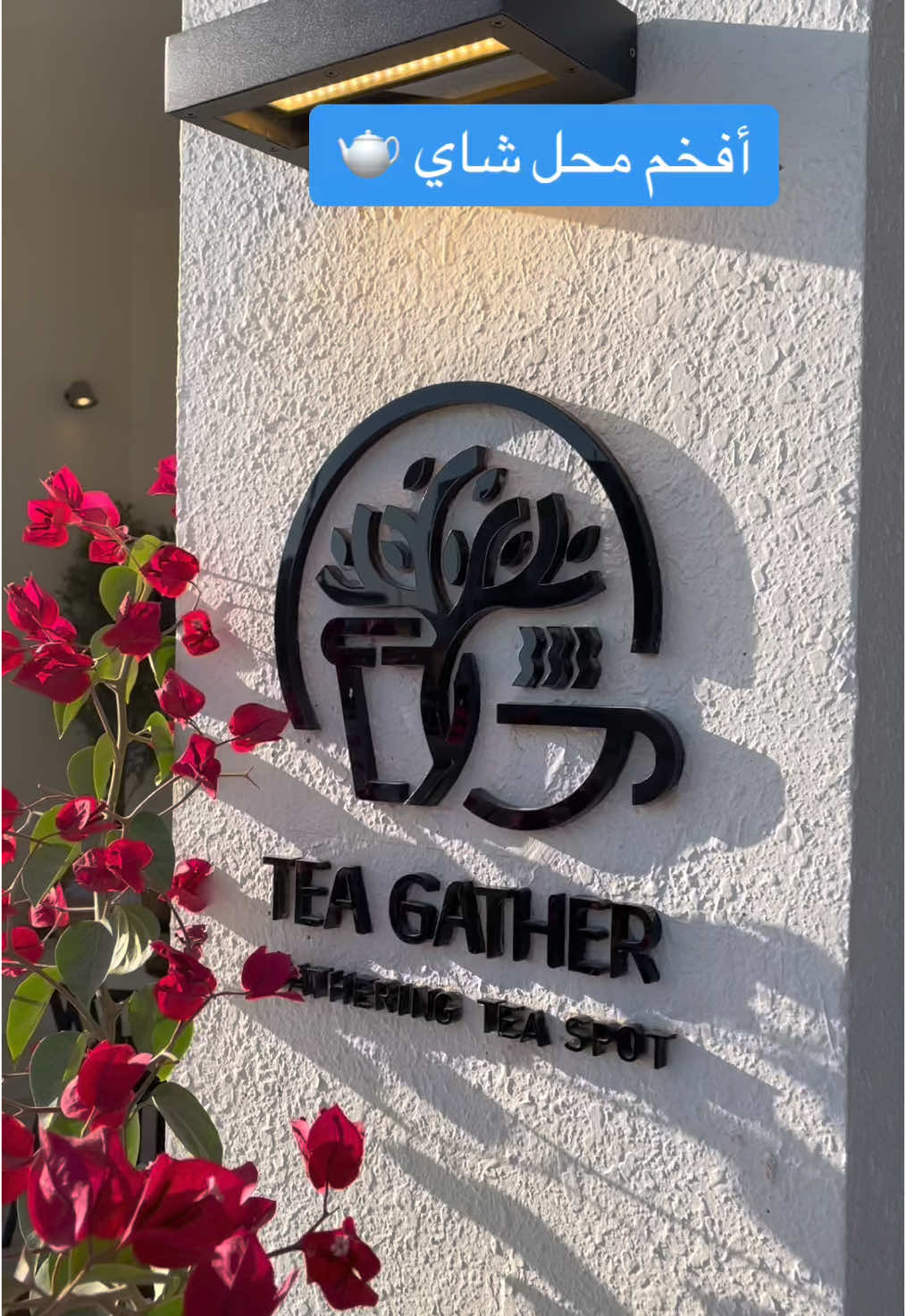 Tea gather  محل شاي 🫖 بستايل ممميز وتفاصيل جميلة 🤍 جديدهم / كريب مالح يحضر عند الطلب ب3 حشوات مميزة  1/قشقوان وحلوم  2/ حلوم بالزعتر والزيتون  3/ خلطة البروشيتا الايطالية مع الزيتون  القشد مع الكرك 👍🏻 #explorepage #explore #fyp #fypageシ  #شاي #شاهي #كريب #قشد#كرك 