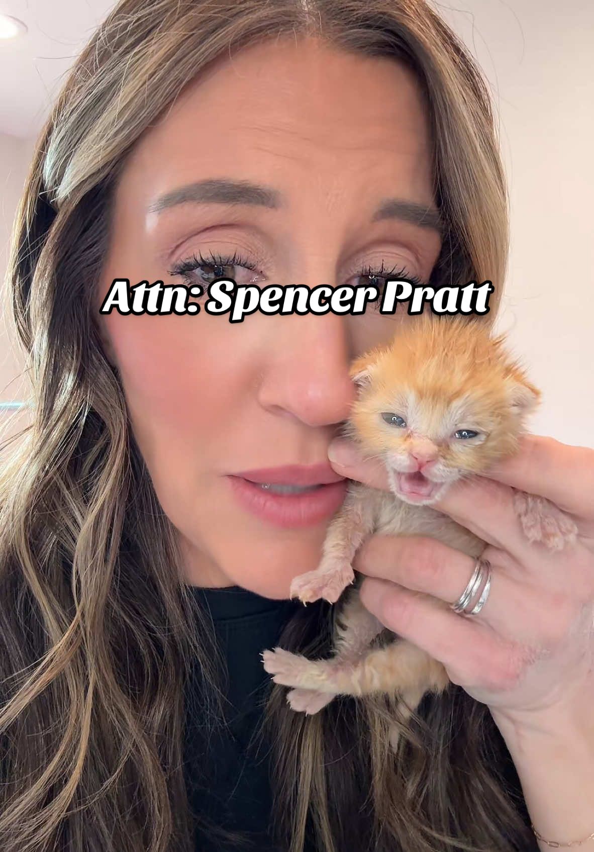 @Spencer Pratt @heidimontag Is it possible that Heidi’s music has healing powers? All I’m saying is that these tiny kittens are healthier and happier since the constant streaming began. 🤷🏻‍♀️ TikTok - let’s support this family by streaming Heidi’s music!  #spencerpratt #heidimontag #superficial #californiafires #rebuild #catsoftiktok #catlover #catmom #fostermom #kittens #bottlebabykitten #kitty 