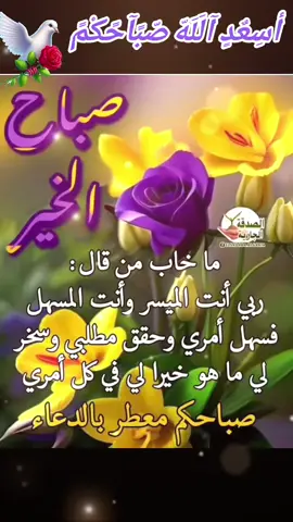 #🌹💐 ##صباحكم_سعادة_لاتنتهي #أسعد الله صباحكم وأضاء قلوبكم... وألبسكم من حلل السعادة و العافية...🕊️ صباحكم سعادة 🕊️#🌹💐 #صباحكم_معطر_بذكر_الله #🌺