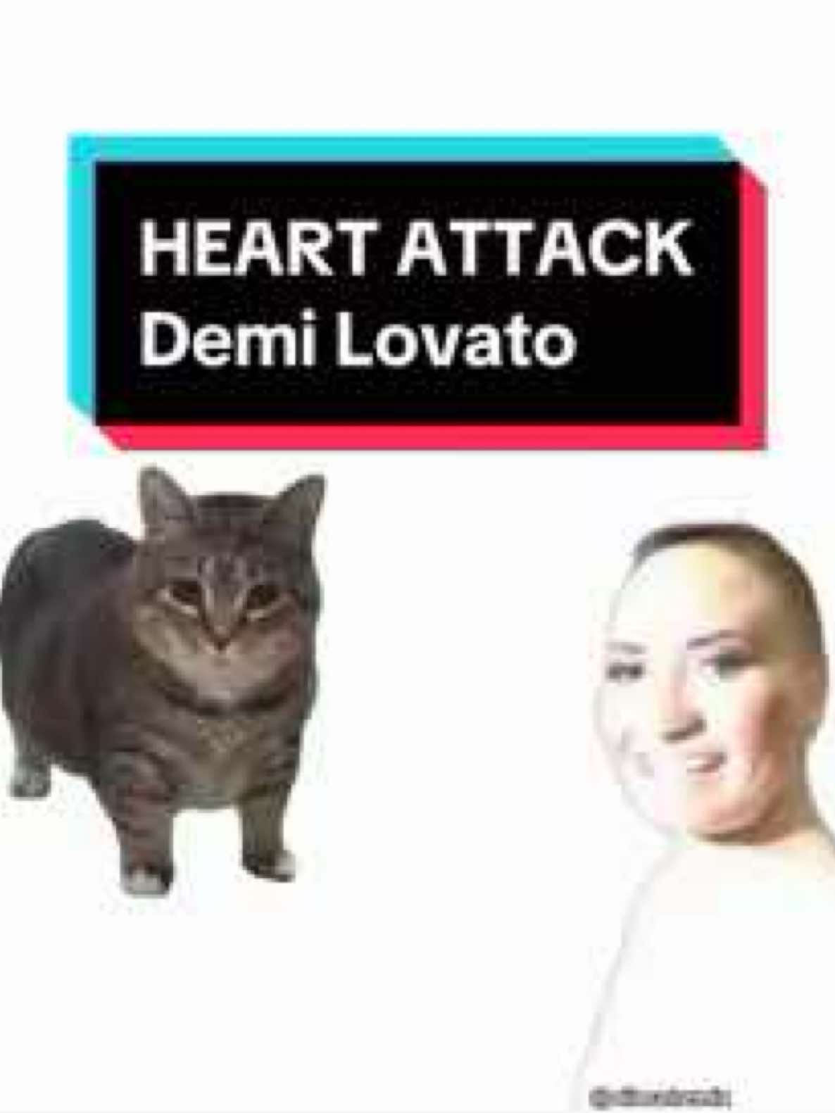 OIIA Cat x Heart Attack | Demi Lovato #fyp #poot #pootlovato #demilovato #heartattack #oiiaiiooiiai #uiiaiouuiiaio 