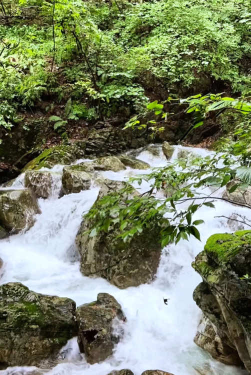 Calm valley 💚💦 #naturevibes #nature #valley #forest #forestlife #calm #calmdown #soothing #livewallpaper #koreatravel #beautifulview 