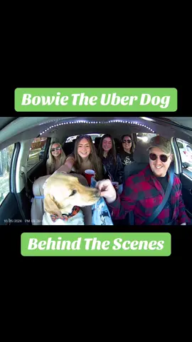 This interaction was hilarious 😂 #TheUberDog #UberDog #explore #foryou #foryoupage #trending #viral #dogsoftiktok #cuteanimals #dogs #colorado #fypシ #fyp 
