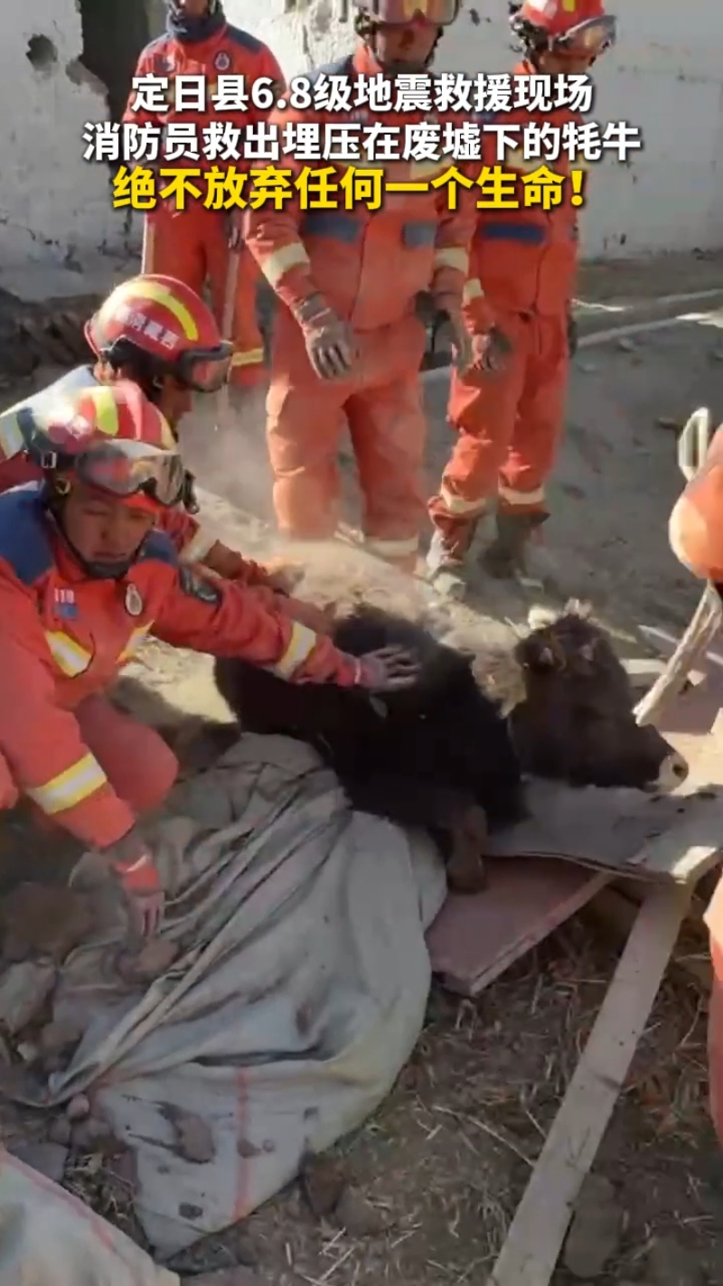 Chine# les opérations de secours après le séisme dans le district de Dingri au Xizang