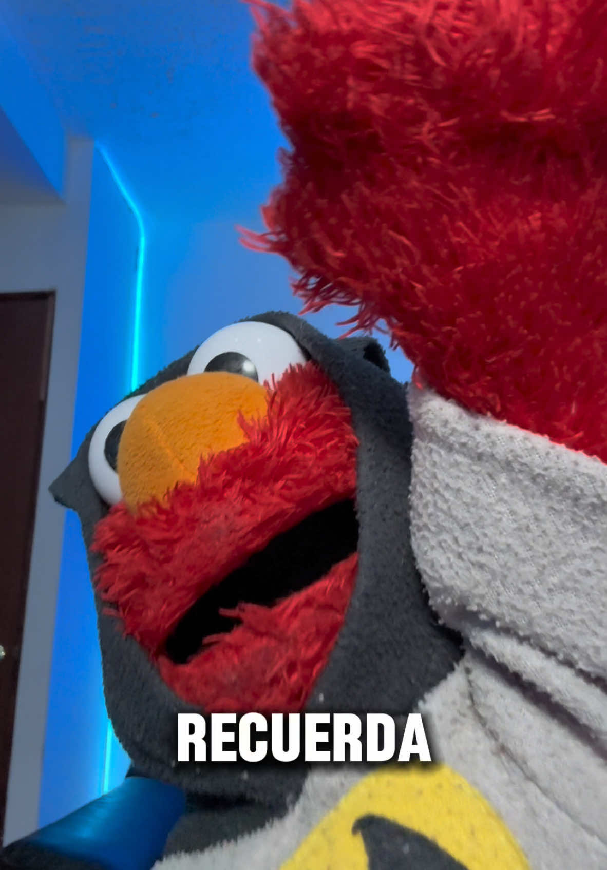 Y recuerda… 😎 #elmo #mayen_m21 #humor 