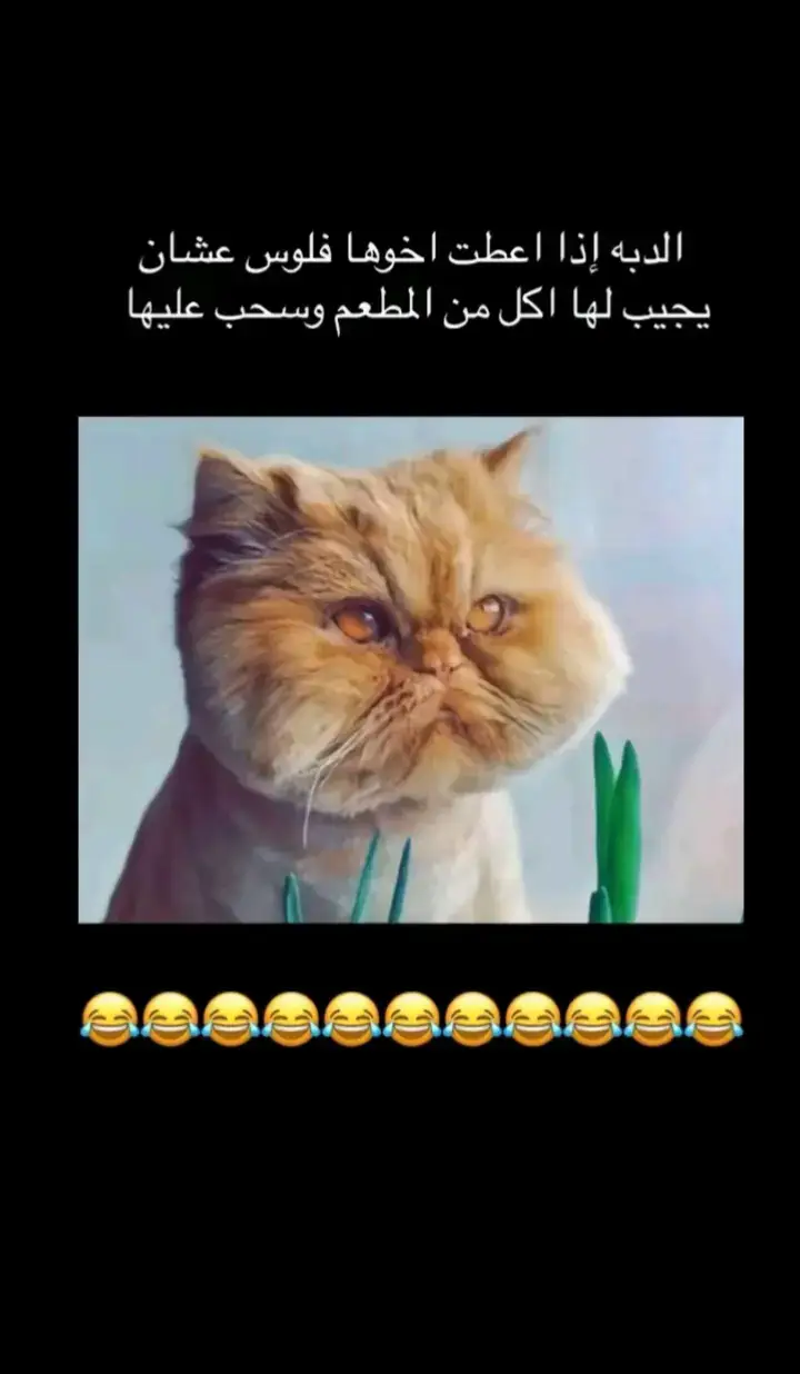 #🤪😂😂😂😂😂😂😂😂😂😂😂😂😂😂😂😂😂😂😂😂😂😂 #لايوقف_عندك_اكسبلوررر 