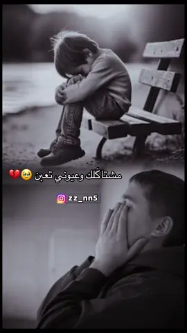 #منتصر #البصراوي #الاخ 