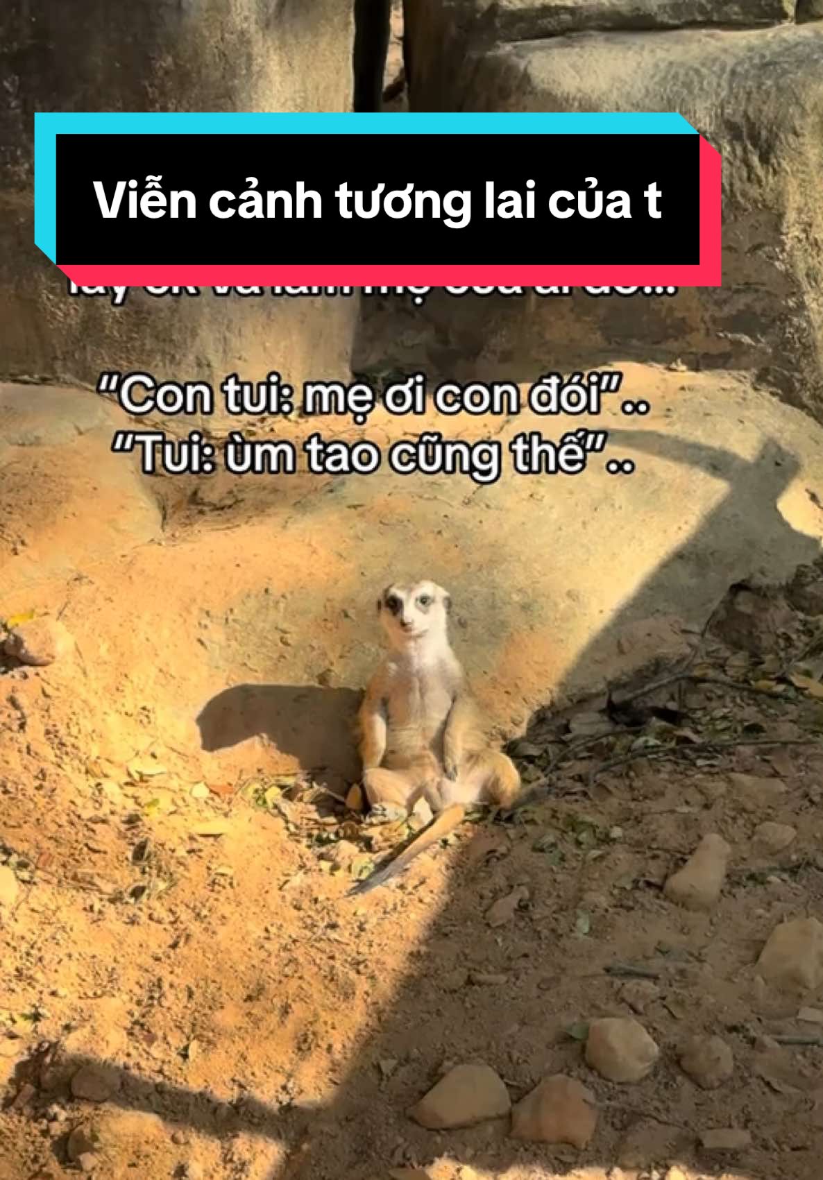 Hết nói luôn #VinWondersPhuQuoc #Vcreator #SafariPhuQuoc #GrandWorldPhuQuoc #WakeupFestival 