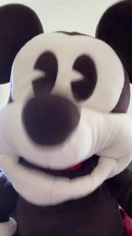 You know where to find us! #comedy #tiktok #tiktokban #ban #mickeypuppet 