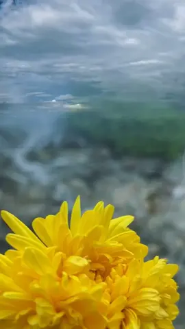 أصبحنا وأصبح الملك لله رب العالمين#صباح_الخير #اصبحنا_واصبح_الملك_لله_والحمد_لله #صباحكم_سعادهـ #fyp #foryou #foryoupage #explore #fypage #اذكار_الصباح #اذكار_المسلم #سبحان_الله_وبحمده_سبحان_الله_العظيم #تصاميم_ghym3377 