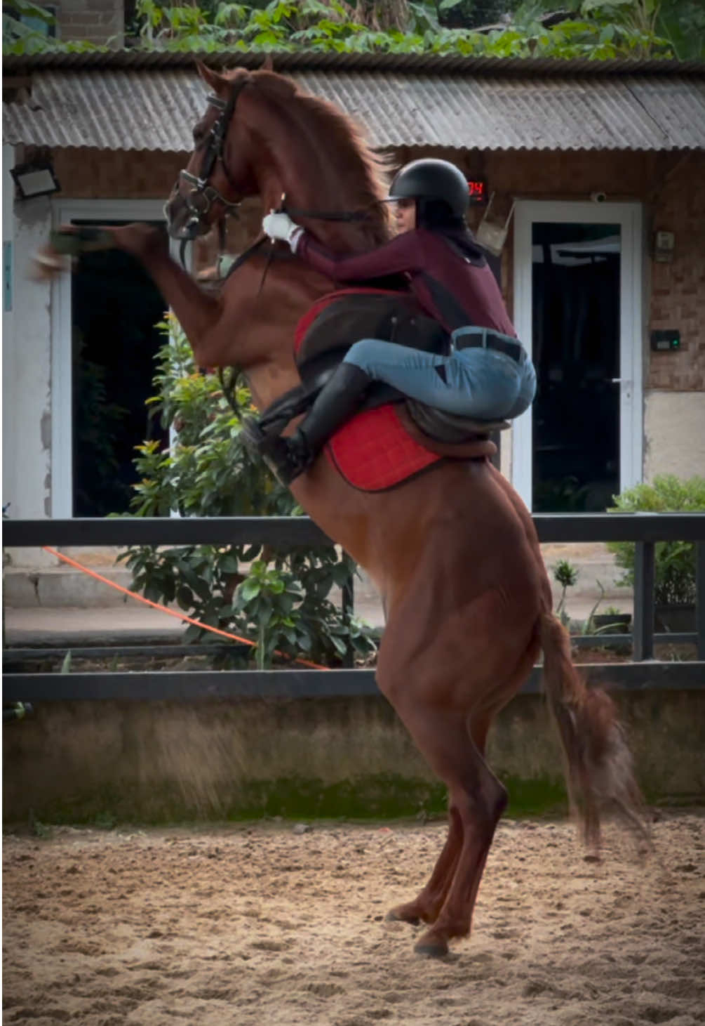 Inspired by @ferrari  #horseriding #equestrian #horsegirl #JJCapCut 