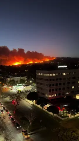 Finally clear skys 🙌 I took this video at the rooftop of our office in Brentwood Ca, at 12:00 pm today. The smell is gone and the sky is clear 🙌 #losangeles #palisadesfire #pacificpalisades #eatonfire #firefighter #nationalguard #wildfire #prayers 🙏🏻 #santamonica #reels__tiktok #lafd #brentwood #calforniafires #fypシ゚viral #explore 