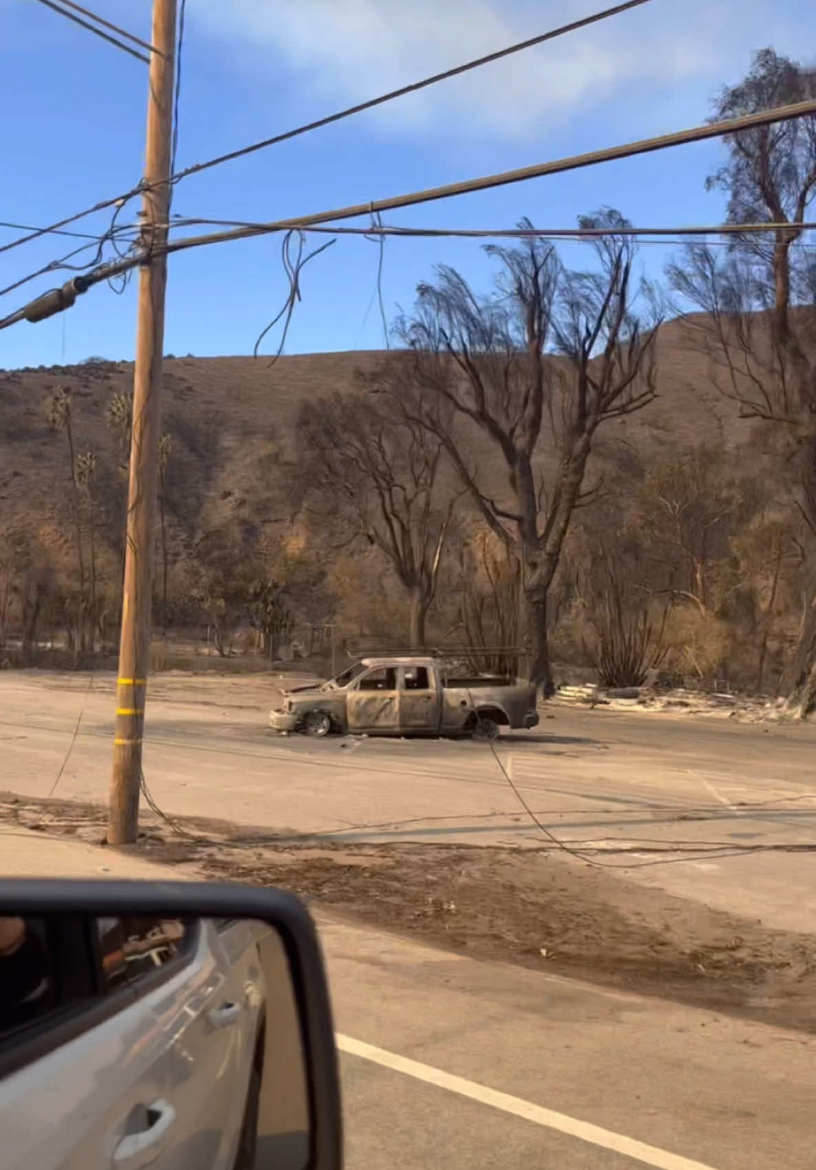 Four iconic Malibu places lost to the Palisades fire.  #palisades #palisadesfire #wildife 