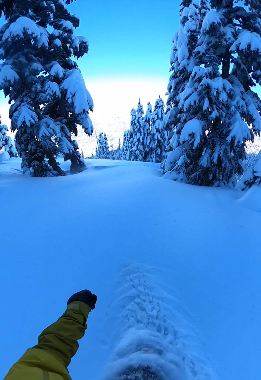 50 seconds of snowboard therapy for your Monday  #snowboarding #wintersports #nitrosnowboards #Snowboard #fyp 