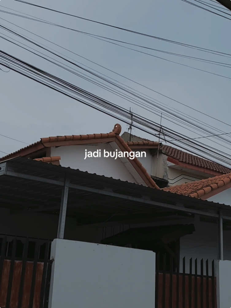 Ya seperti di akhir video ini😮‍💨 #bujangan #jomblo #uang 