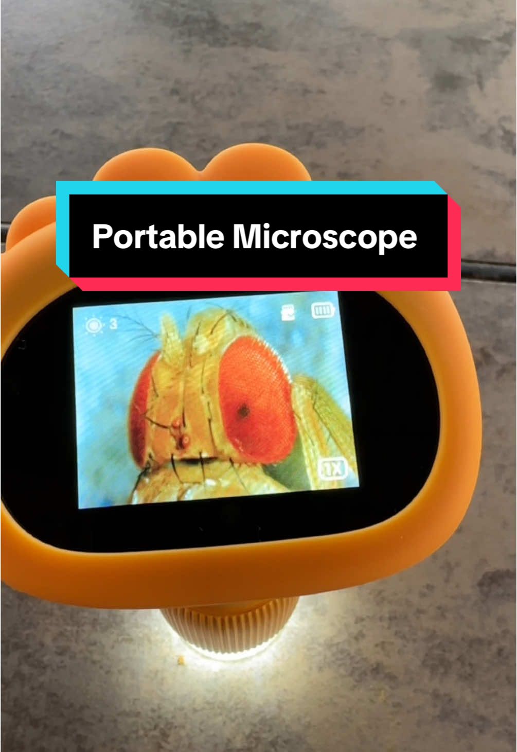 This portable microscope 🔬 is so fun for looking at things up close 🧐  #microscope #portablemicroscope #handheldmicroscope #funforkids #nature #bug #bugs 