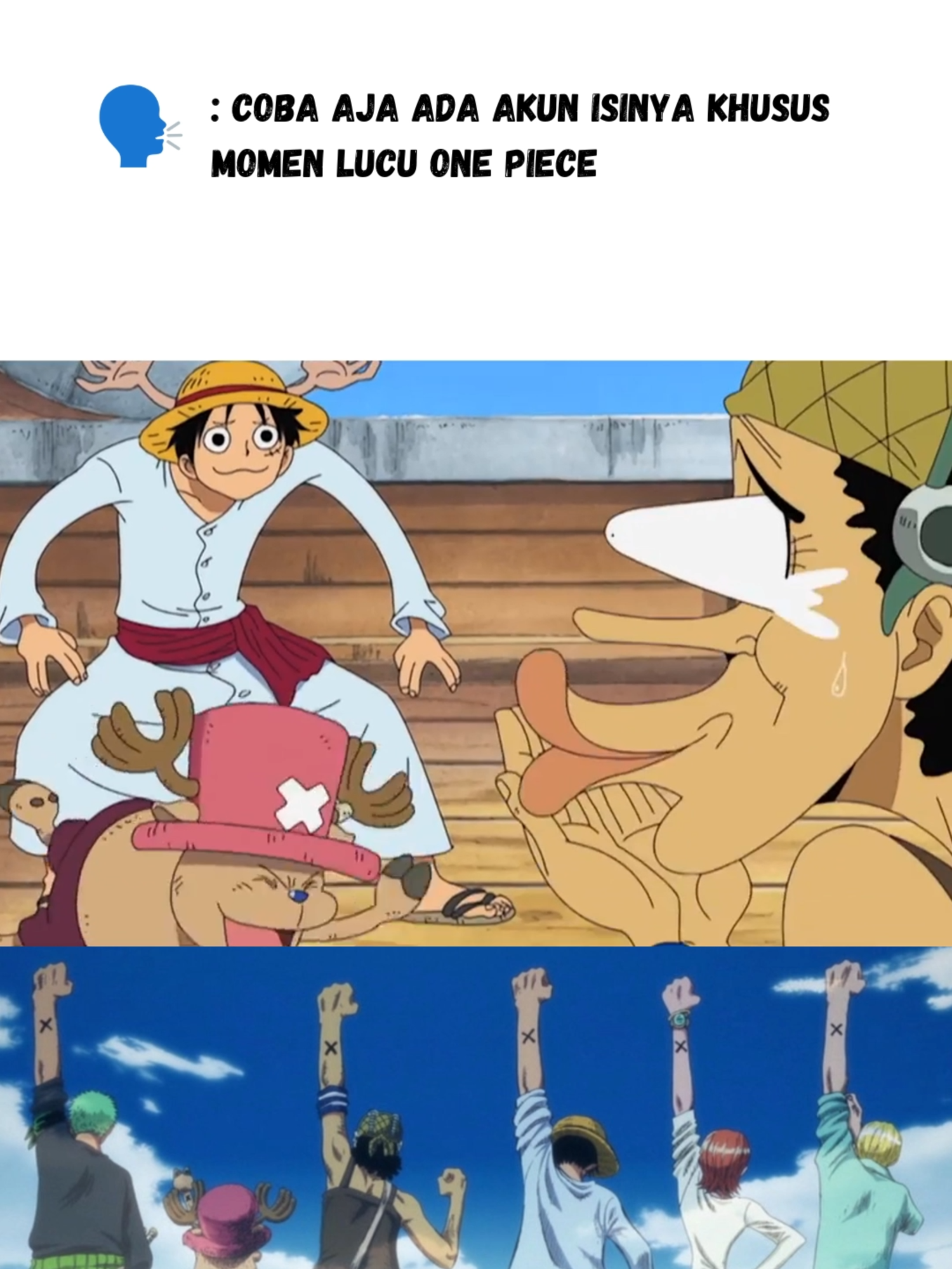 Cuma Zoro yang belum terima... #onepiece #onepiecelucu #onepiecengakak #onepiecetiktok #anime