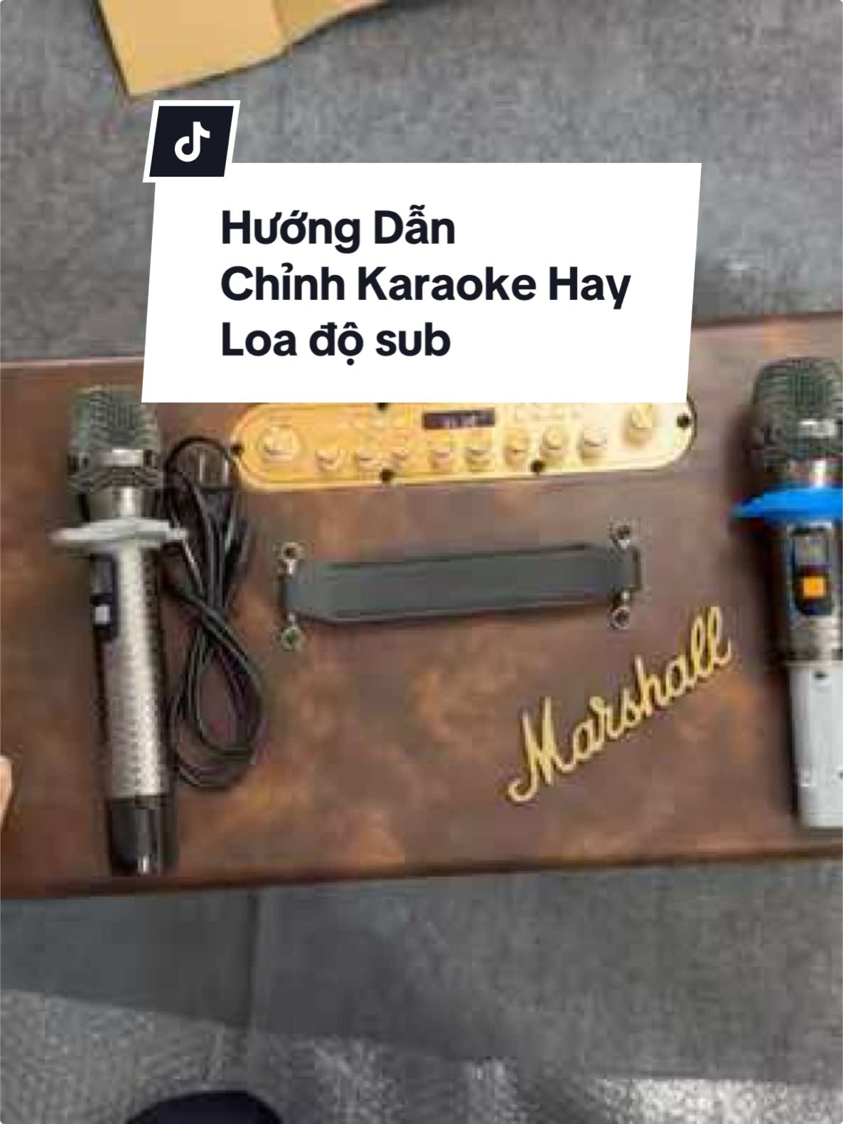 Hướng Dẫn Anh em sử dụng loa hát độ sub bên shop sao cho hay ạ #loabluetooth #viethoangspeaker #lamloatheoyeucau #loahay #hoangvietspeaker #tulamloabluetooth 