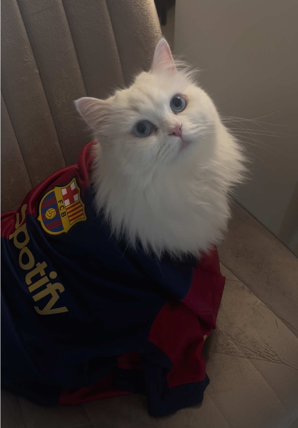 the cutest barcelona fan 👆🏻 #fcbarcelona #برشلونة 